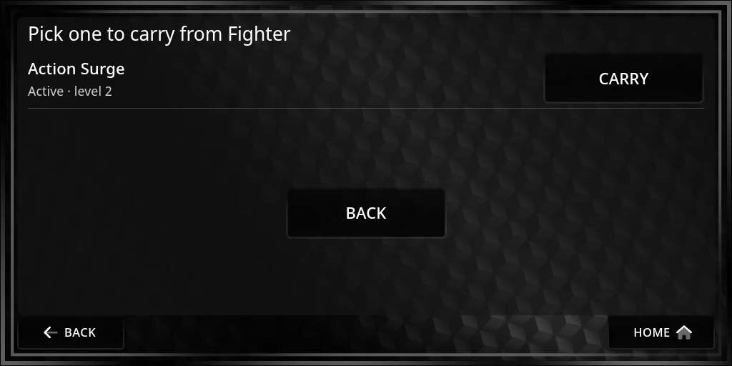 Pick one to carry from Fighter: Action Surge, active, level 2, with Carry, and Back